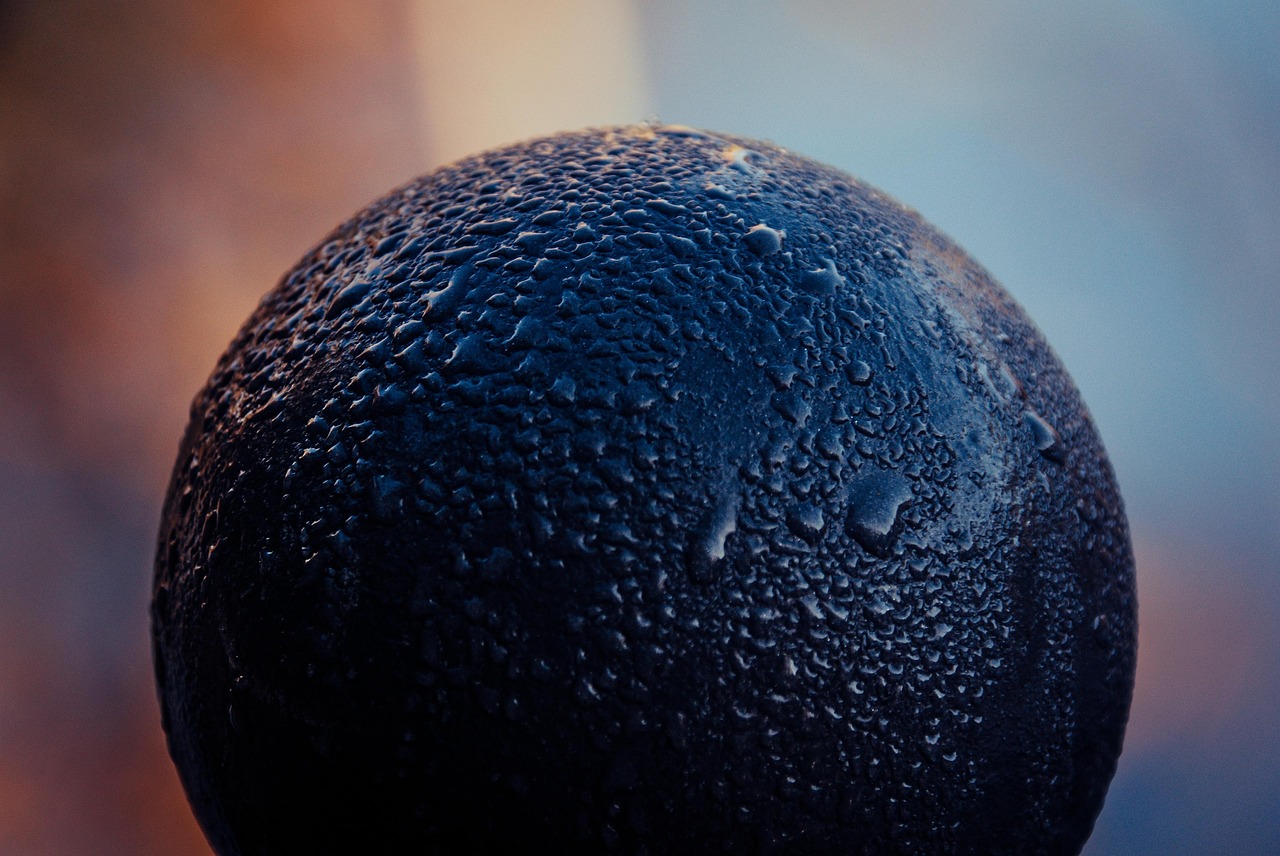 Ball Drops Dew Free photo on Pixabay Pixabay