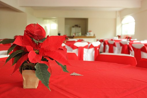 Navidad, Mesa, Nochebuena, Salon