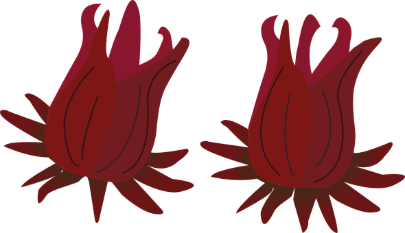 Flori, Flori De Culoare Roşie, Clip Art