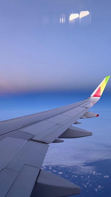 Free Travel Airplane photo and picture