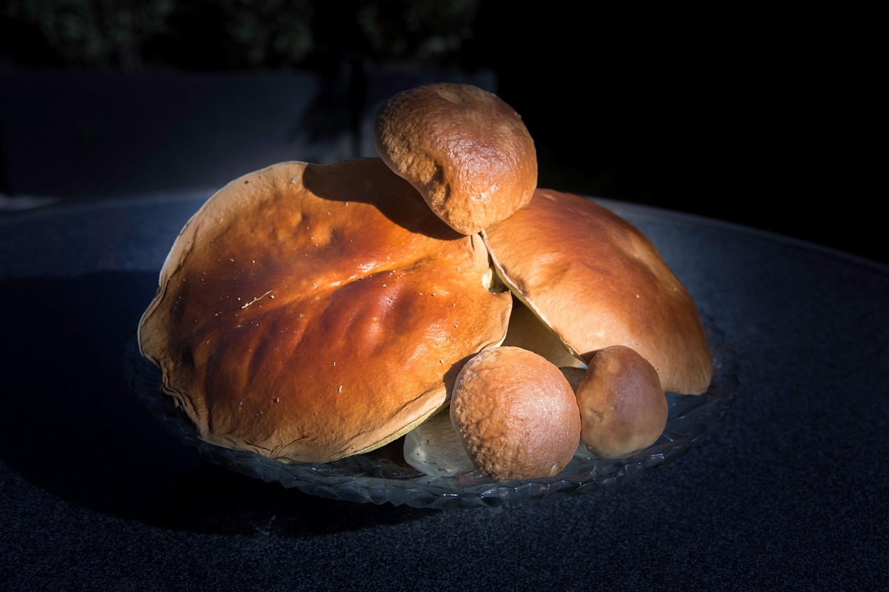 Porcini Mushrooms Penny Buns Free photo on Pixabay