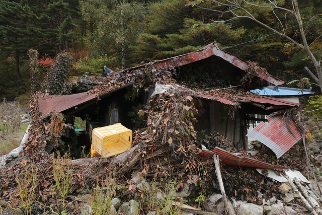 Free Old House Abandoned House photo and picture