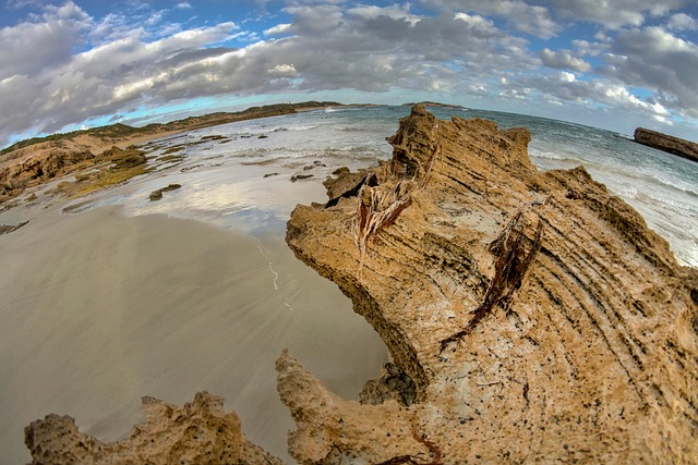 Free Landscape Seaside photo and picture