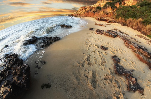 Free Beach Sea photo and picture