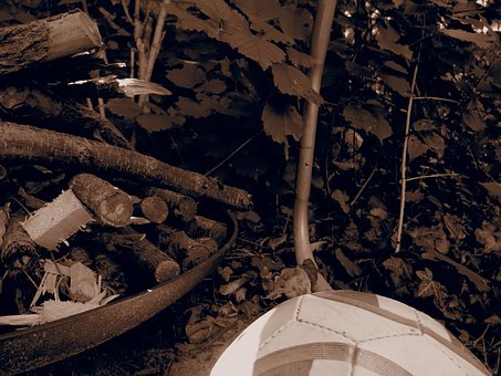 Free Sepia Garden photo and picture