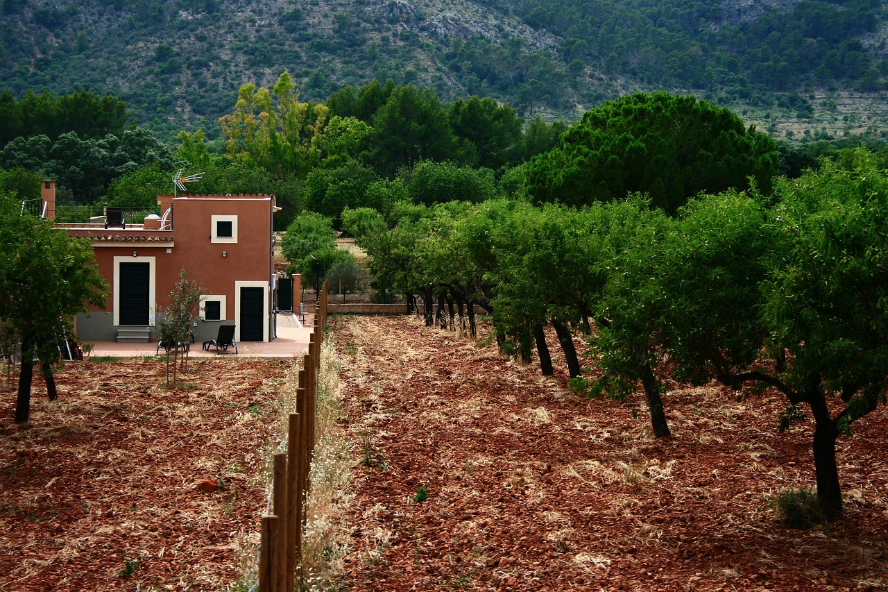 Orange Garden - free online jigsaw puzzle photo