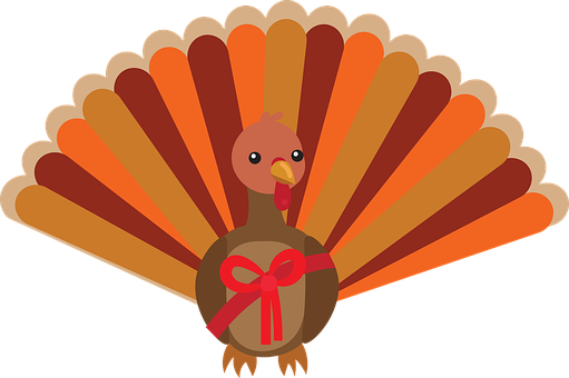 Pavo, Acción De Gracias, Regalo