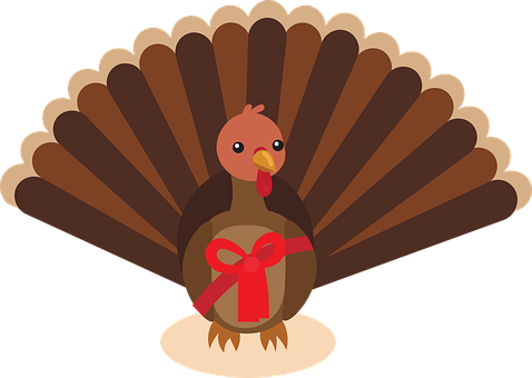 Pavo, Acción De Gracias, Regalo