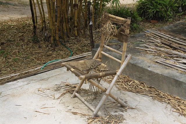 Free Vietnam Beach photo and picture