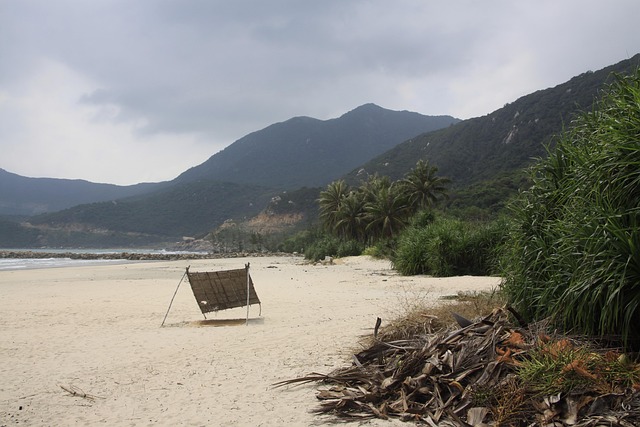 Free Jungle Beach Jungle Beach Vietnam photo and picture