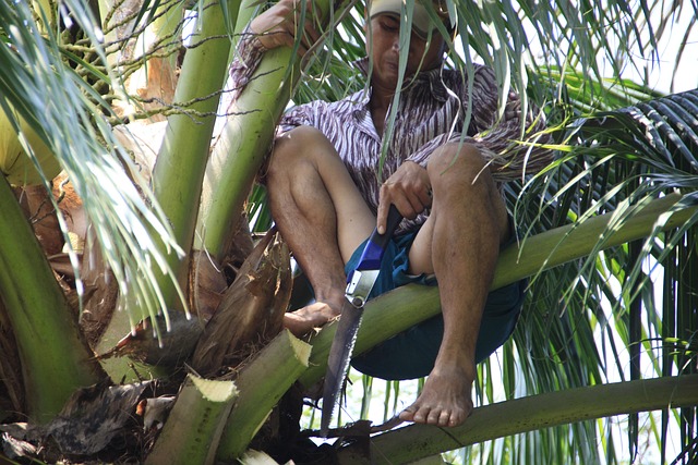 Free Vietnam Man photo and picture