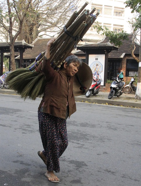 Free Vietnam Woman photo and picture