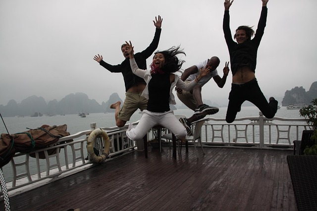 Free Vietnam Vịnh Hạ Long photo and picture
