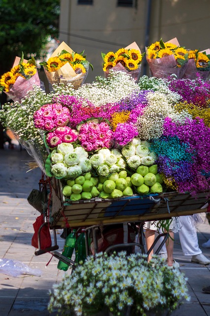 Free Flower Color photo and picture
