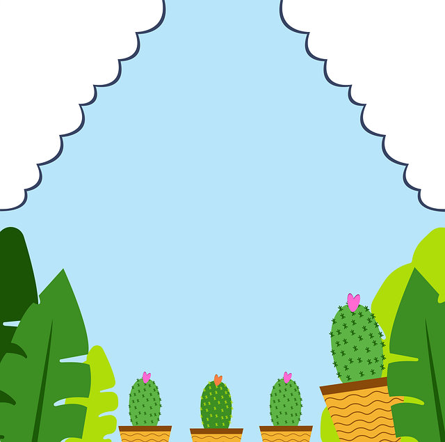 Cacti, พืช, พฤกษศาสตร์, ธรรมชาติ, ใบไม้