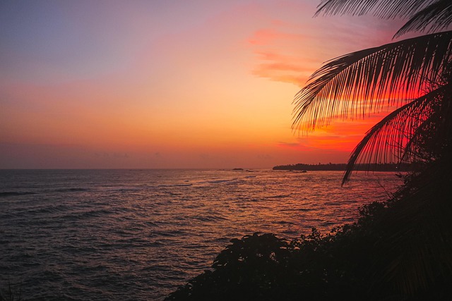 Free Sunset Ocean photo and picture