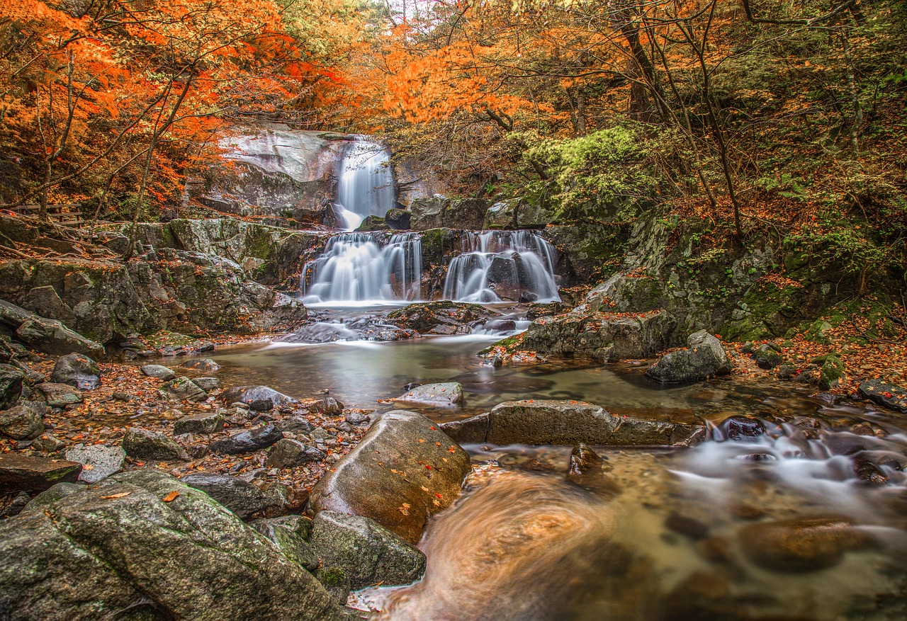 Autumn - free online jigsaw puzzle photo