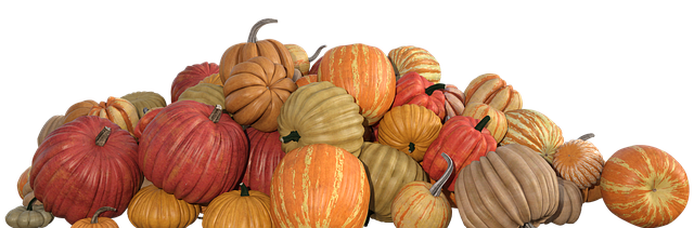 Gresskar, Falle, Halloween, Hagebruk