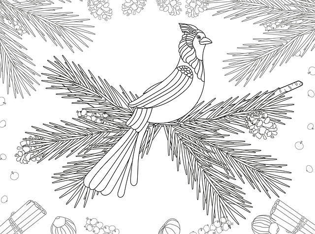 Free bird spruce coloring page vector