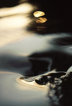 Free Water Sun photo and picture