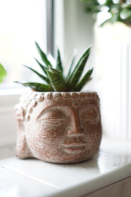 Free Plant Buddha Pot photo and picture