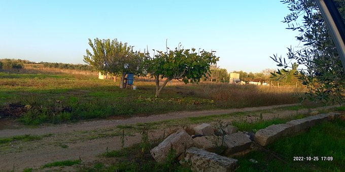 Free Panorama Country photo and picture