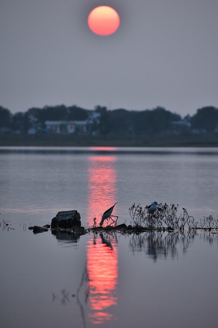Free Sunset Dusk photo and picture