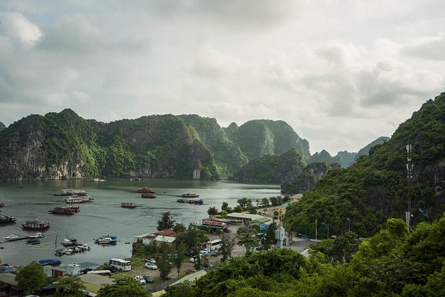 Free Bay Sea photo and picture