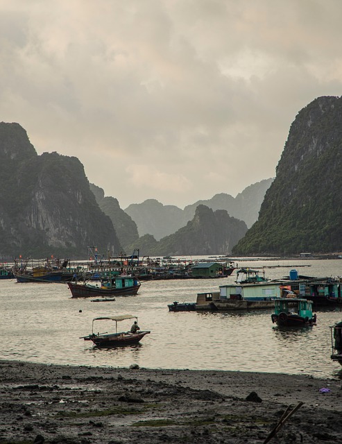 Free Boats Ships photo and picture