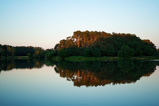 Sø, Aftenstemning, Skov, Vand, Natur