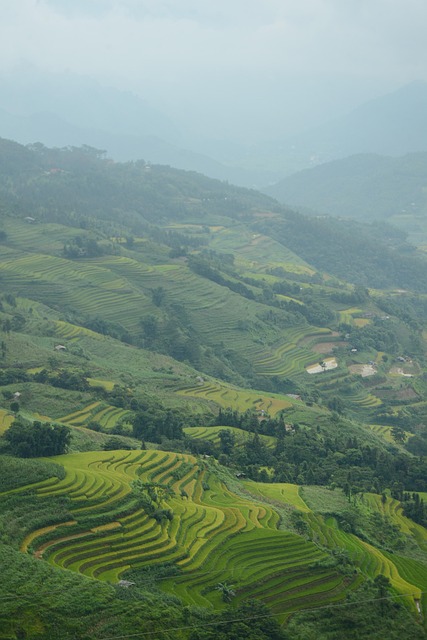 Free Mountains Rice Terraces photo and picture