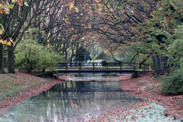 Free Park Autumn photo and picture