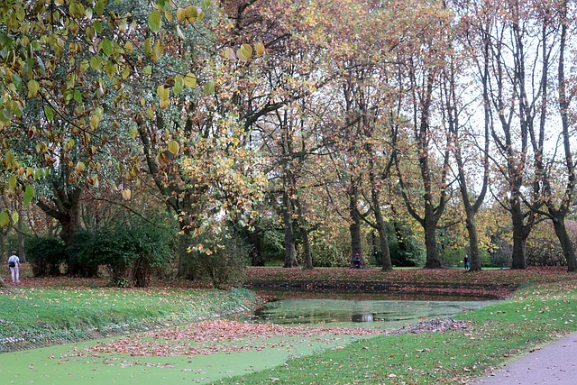 Free Here Park photo and picture
