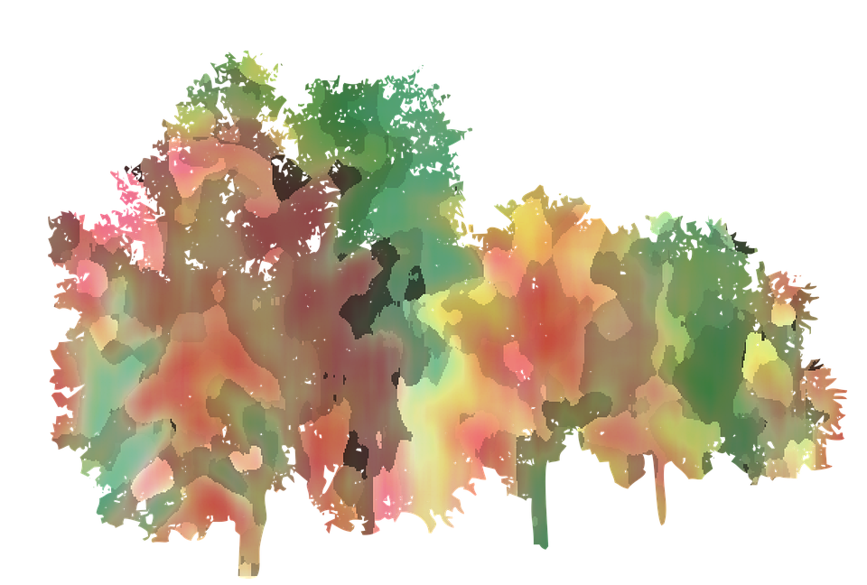Pixabay Pixabay pixabay-pixabay