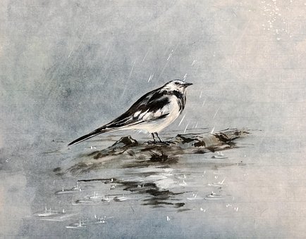 Chinees Schilderij, Vogel, Kunstwerk
