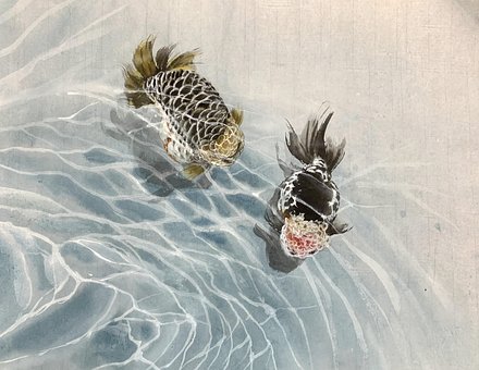 Jimwang, Chinees Schilderij, Vis