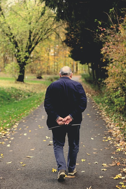 Free Old Man Path photo and picture