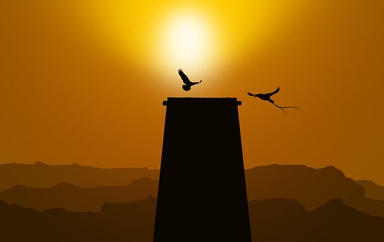 조류, 탑, 일몰, 햇빛, 자연, 저녁, 하늘