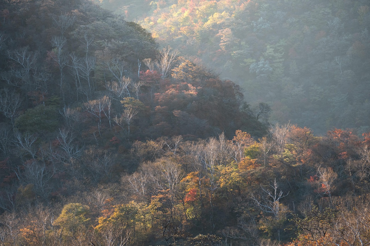 Autumn - free online jigsaw puzzle photo