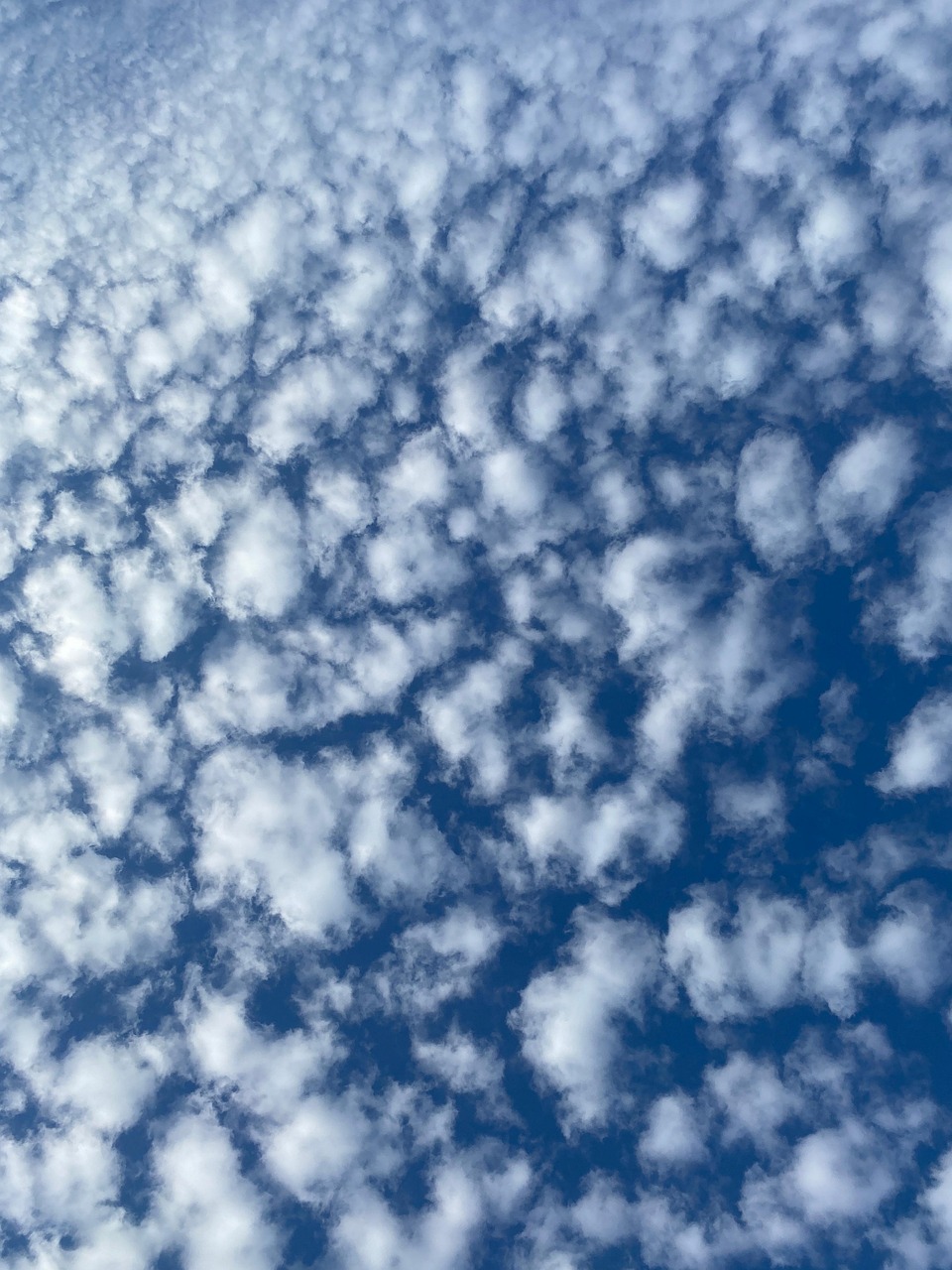 天空 云 夏天 - Pixabay上的免费照片 - Pixabay