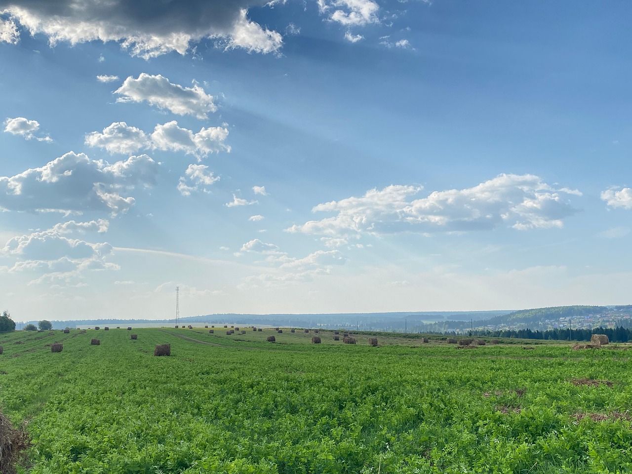Paysage Prairie Champ - Photo gratuite sur Pixabay - Pixabay