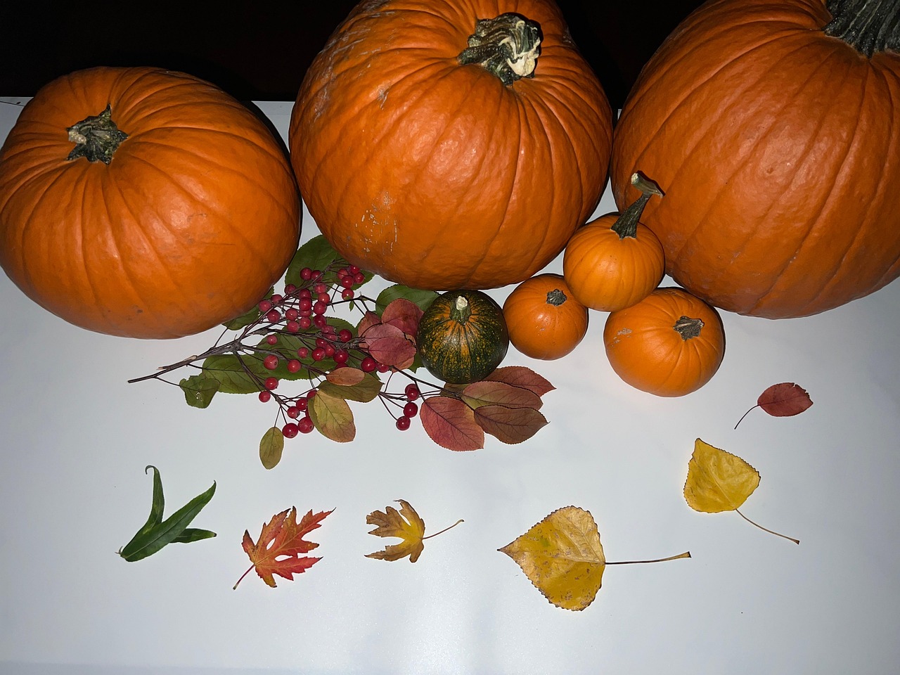 Pumpkins Halloween Fall - Free photo on Pixabay - Pixabay