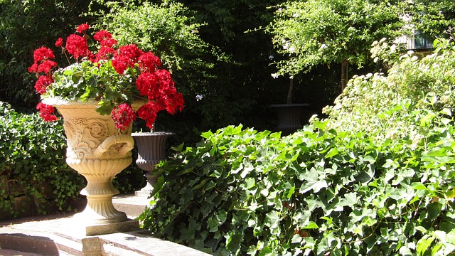 Free Glienicke Palace Park Palace Garden photo and picture