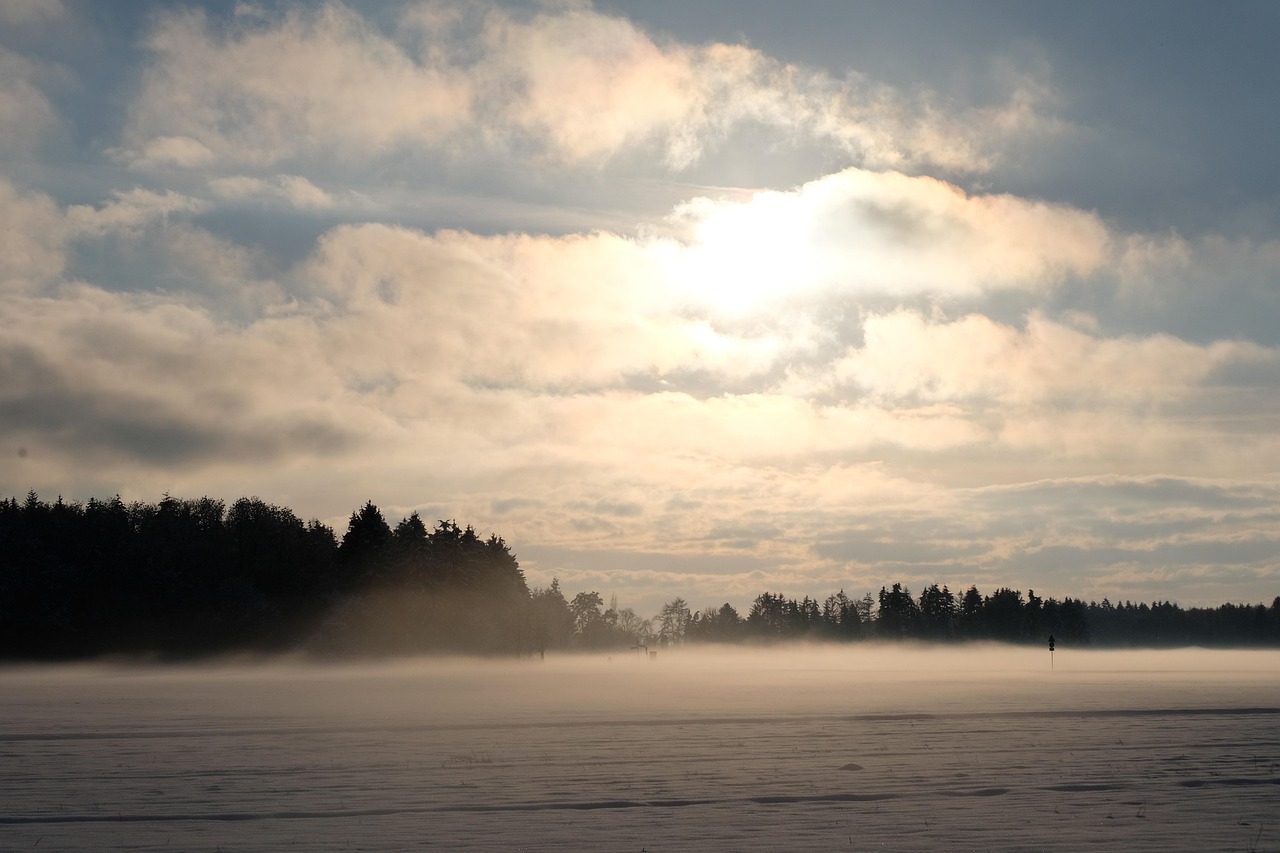 Foggy - free online jigsaw puzzle photo