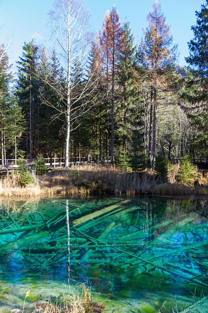 Free Mountain Lake Lake photo and picture
