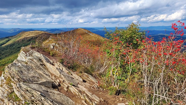 Montañas, Otoño, Bieszczady, Paisaje