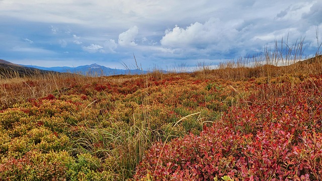 Otoño, Montañas, Bieszczady, Paisaje
