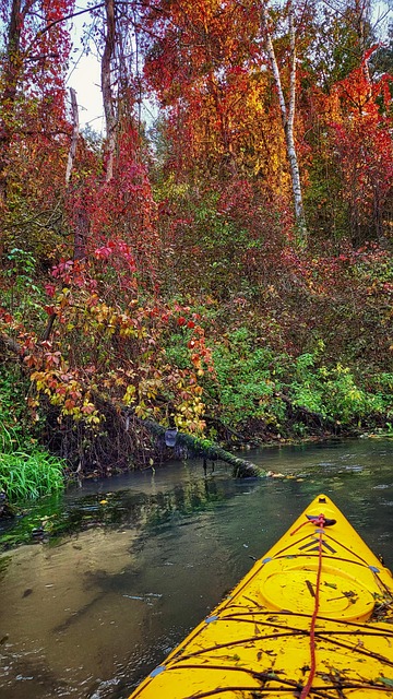 Kayac, Kayaks, Río, Otoño, Los Colores
