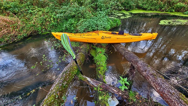 Kayac, Kayaks, Río, Remo, Flujo, Árboles