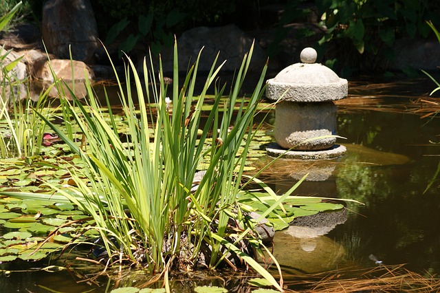 Free Gardens Japanese photo and picture